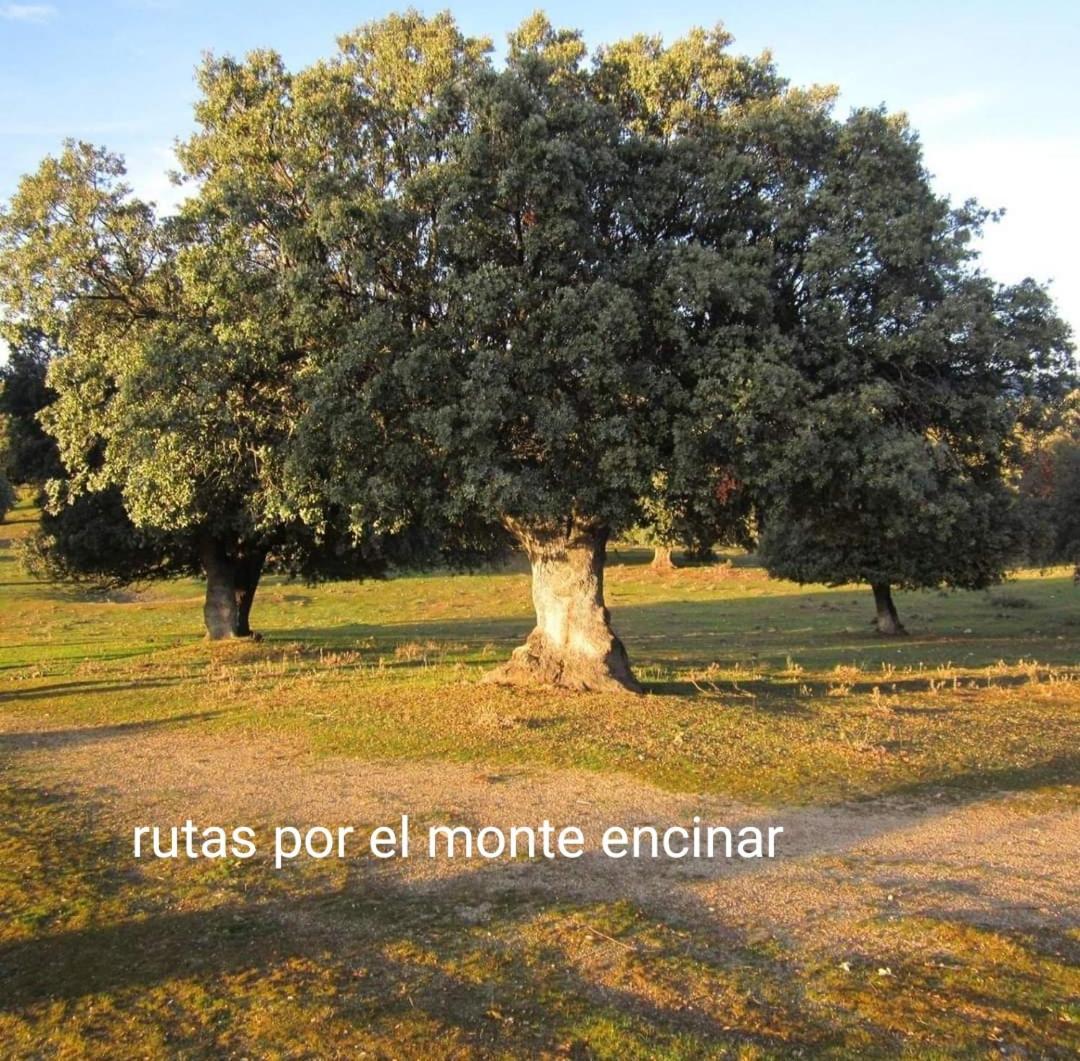 Chalet Pinara El Barraco 외부 사진
